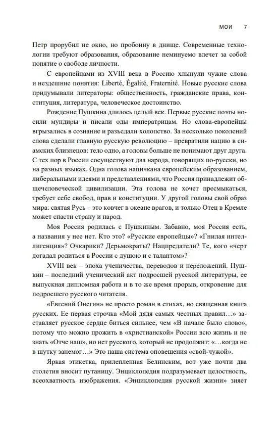 МОИ. Эссе о русской литературе