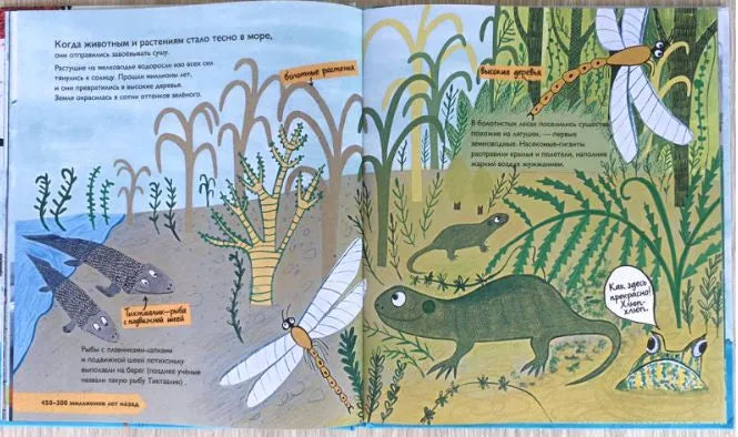 История жизни. Моя первая книга об эволюции