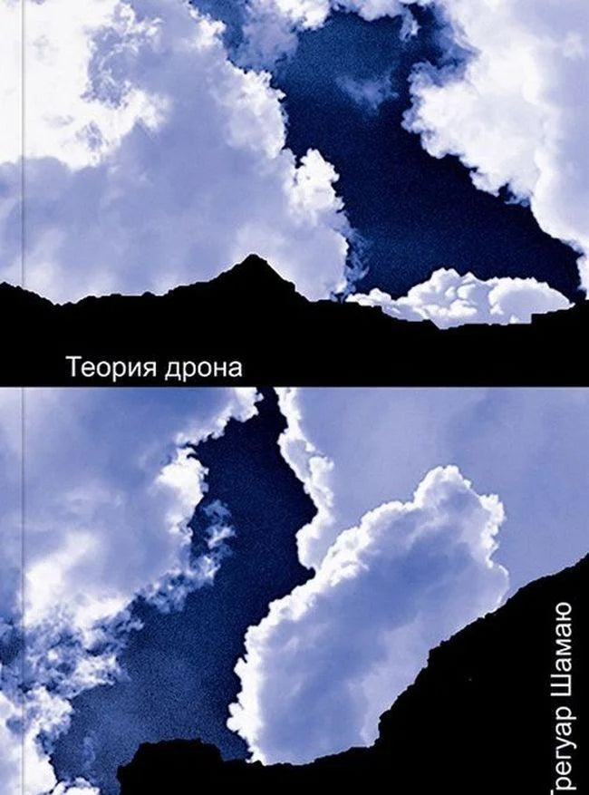 Теория дрона