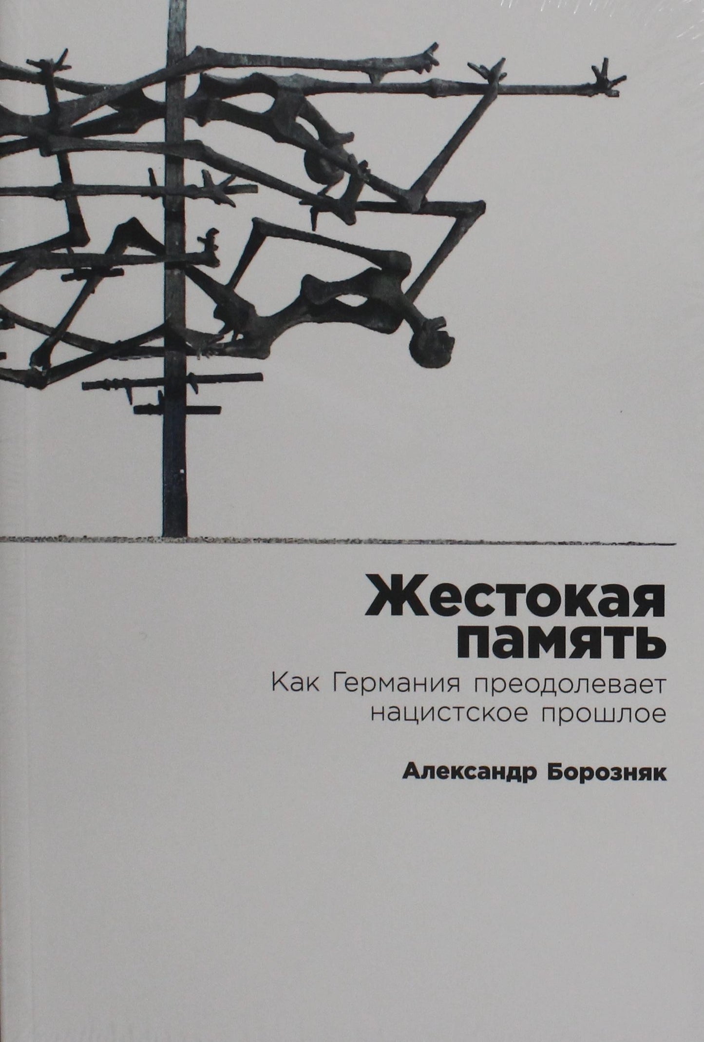 Жестокая память. Как Германия преодолевает нацистское прошлое