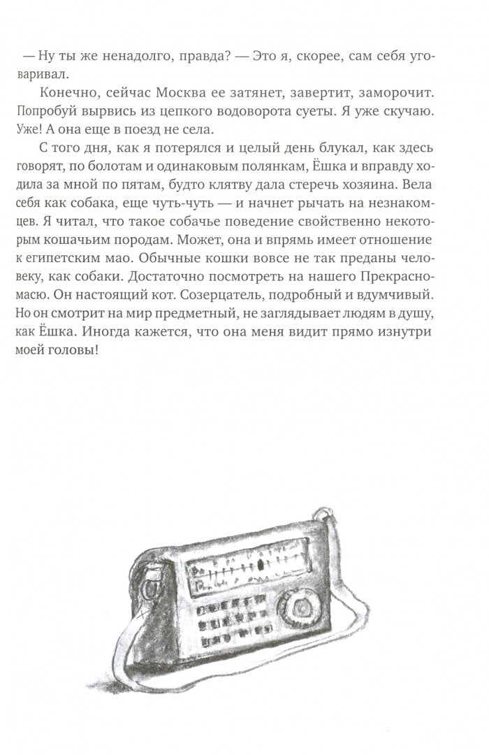 МРНЫ. Почти правдивая история
