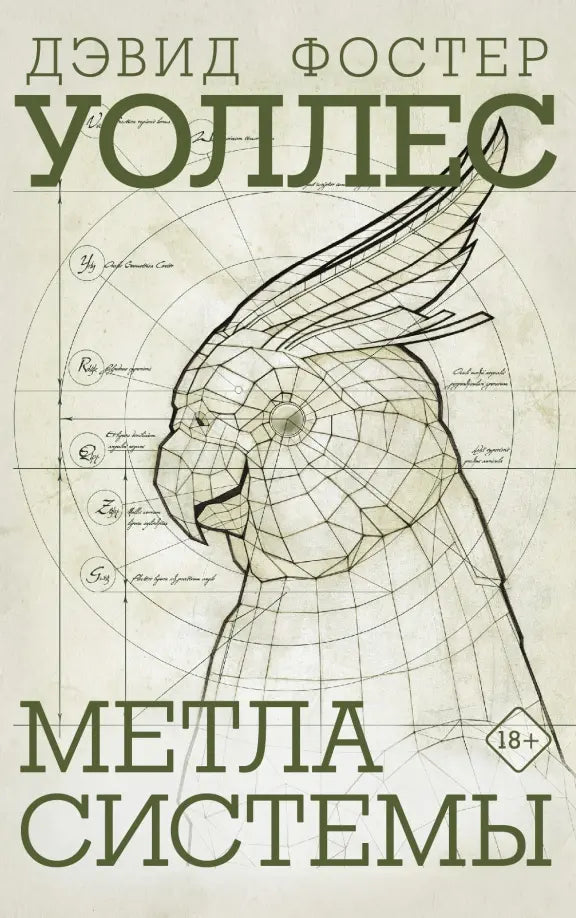 Metla-Sistemy