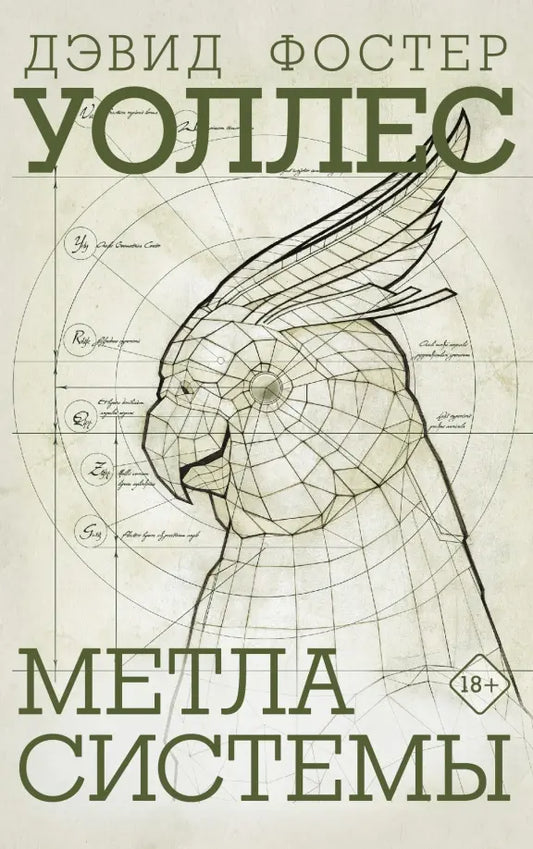 Metla-Sistemy
