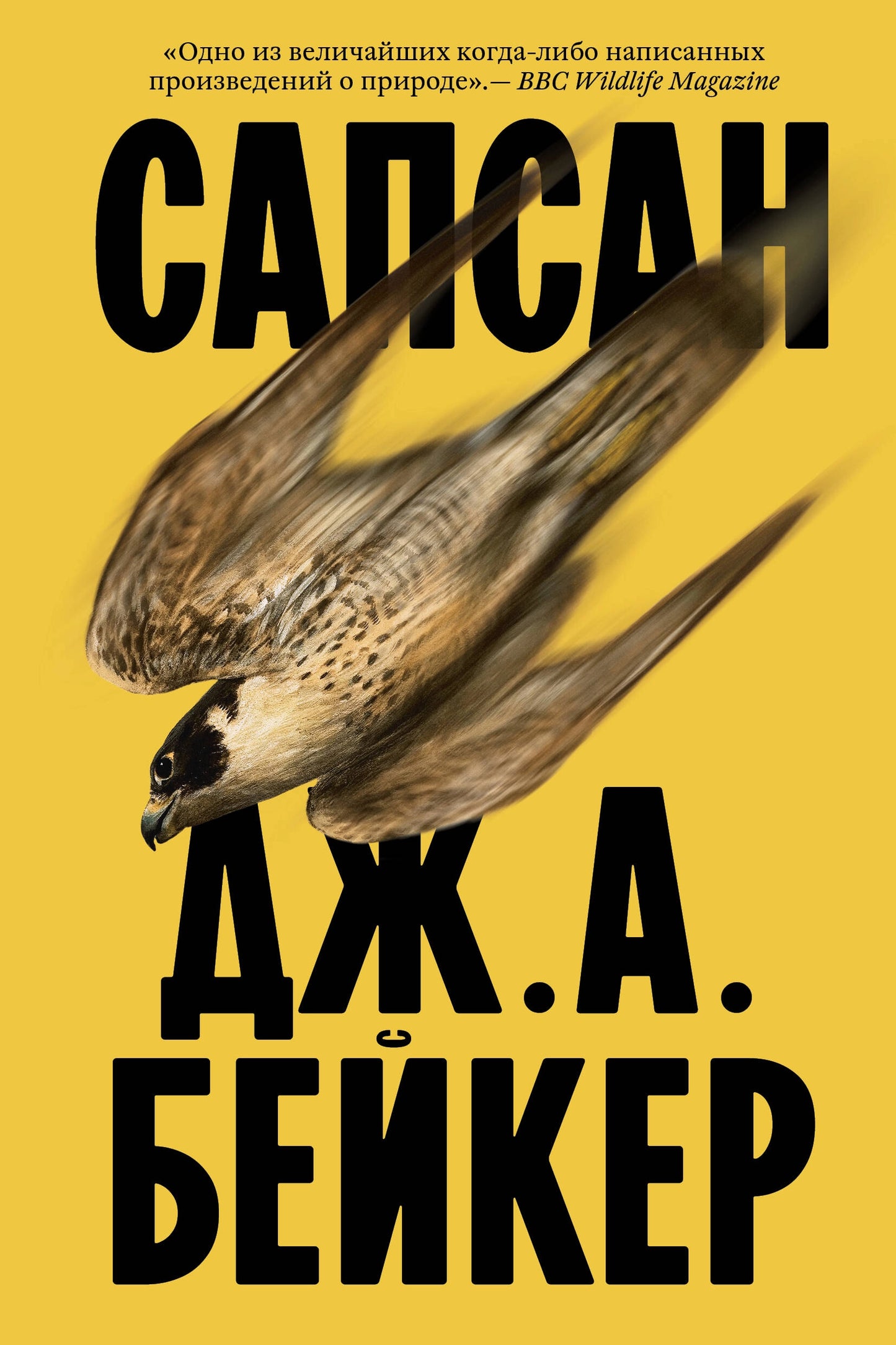 Сапсан