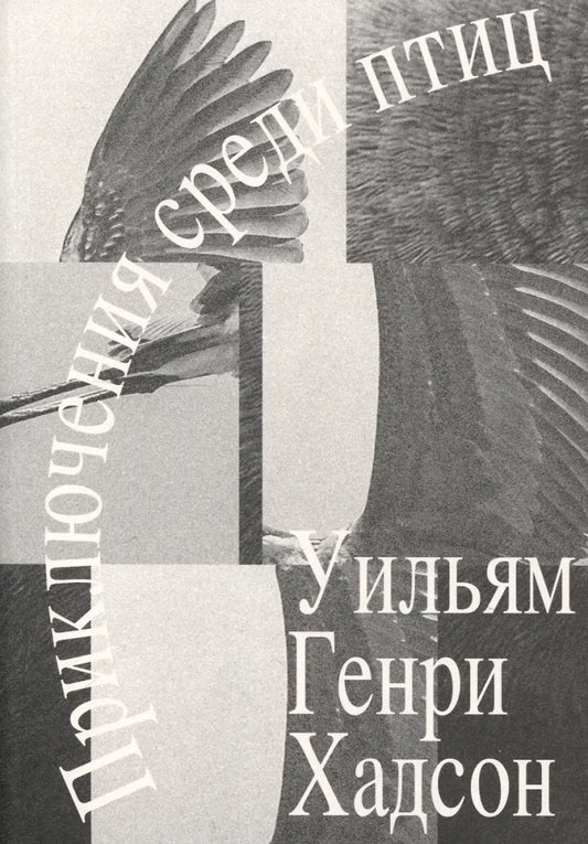 Приключения среди птиц